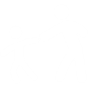 Tell parents/carers about any suspicious behaviour and new adult friends