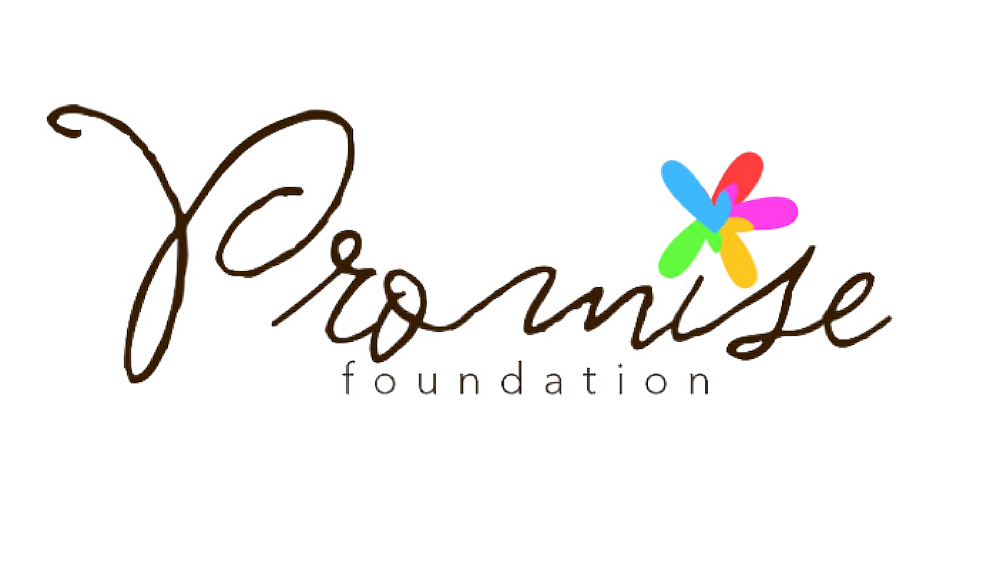 The Promise Foundation logo